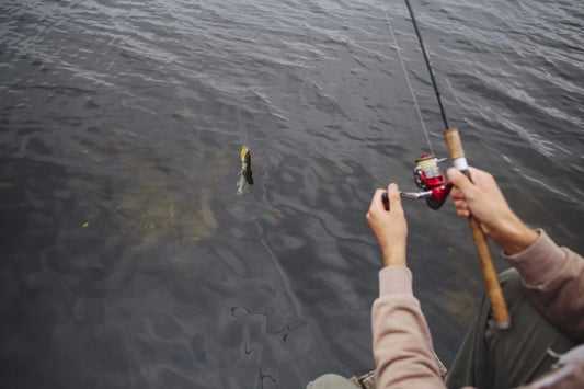 Canada's Top Fishing Spots to Cast a Line in 2024